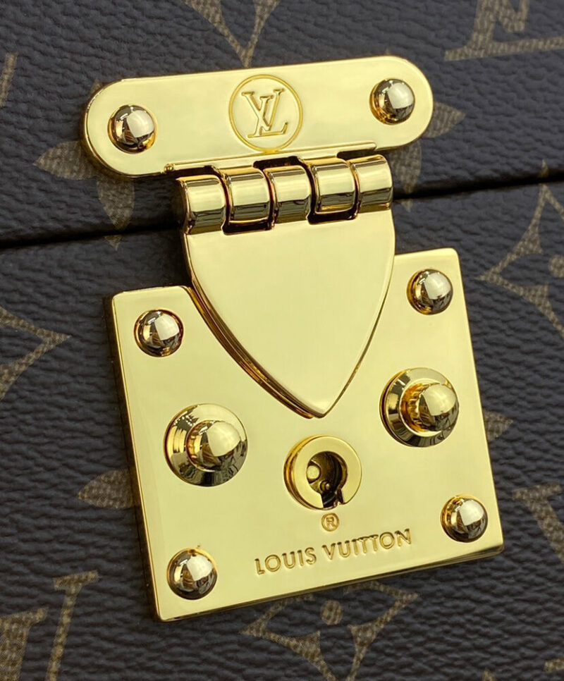 Louis Vuitton Camera Box M10079 Brown